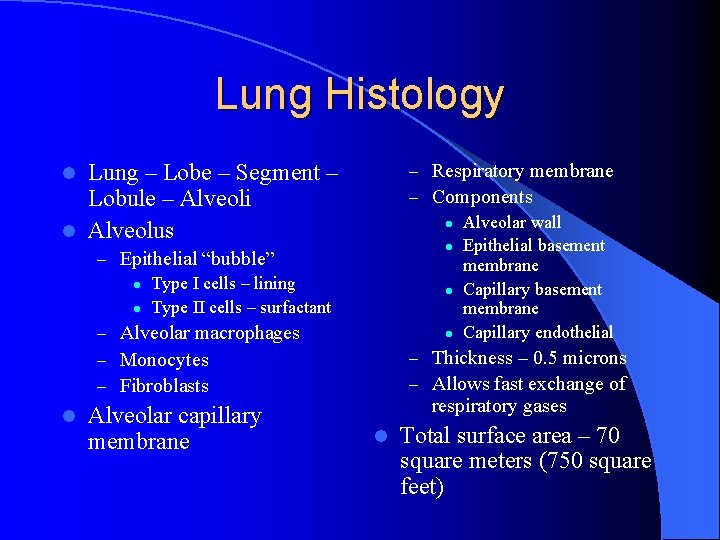 Lung Histology Lung – Lobe – Segment – Lobule – Alveoli l Alveolus –