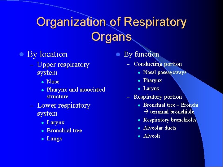 Organization of Respiratory Organs l By location – Upper respiratory system l l Nose