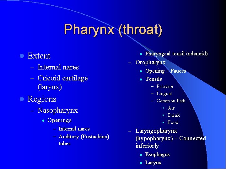 Pharynx (throat) l Extent l – Internal nares – Cricoid cartilage – Oropharynx l