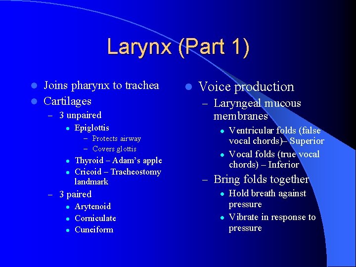 Larynx (Part 1) Joins pharynx to trachea l Cartilages l – 3 unpaired l