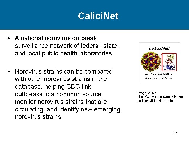 Calici. Net • A national norovirus outbreak surveillance network of federal, state, and local