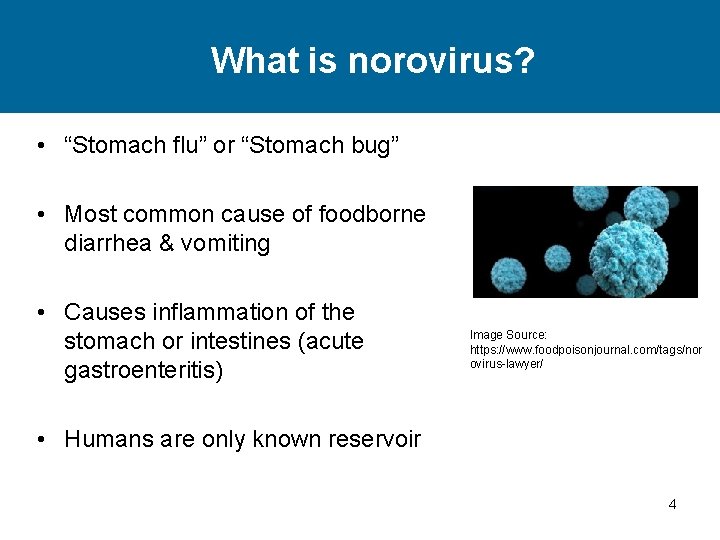 What is norovirus? • “Stomach flu” or “Stomach bug” • Most common cause of