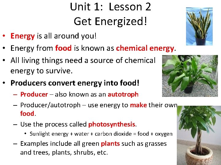 Unit 1 Lesson 1 and 2 Lesson 1