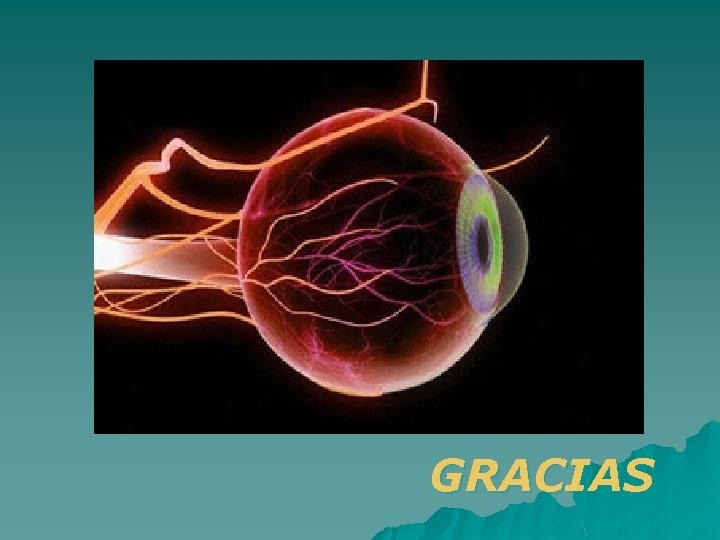 GRACIAS 