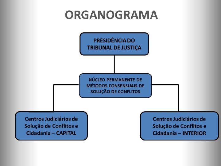ORGANOGRAMA 