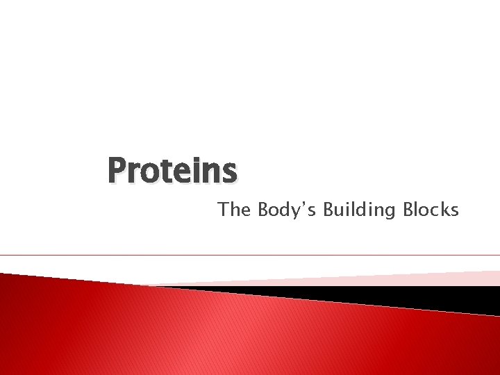 Proteins The Body’s Building Blocks 