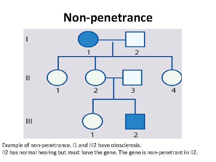 Non-penetrance Example of non-penetrance. I 1 and III 2 have otosclerosis. II 2 has