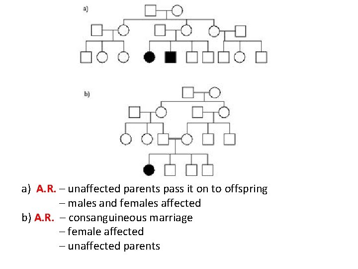 a) A. R. – unaffected parents pass it on to offspring – males and