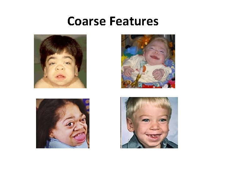 Coarse Features 