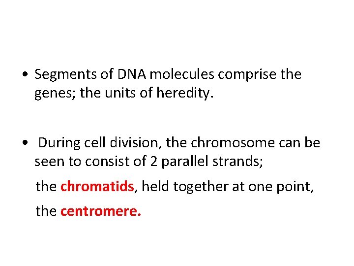  • Segments of DNA molecules comprise the genes; the units of heredity. •