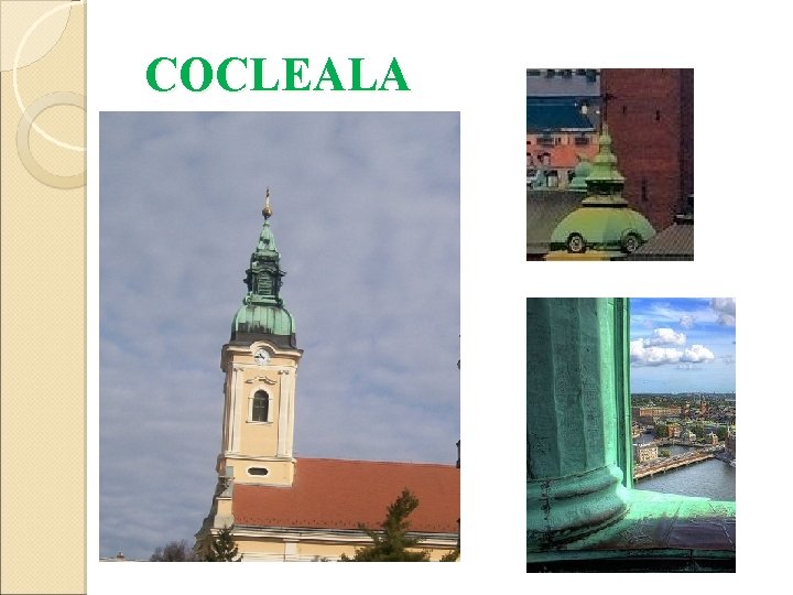 COCLEALA 