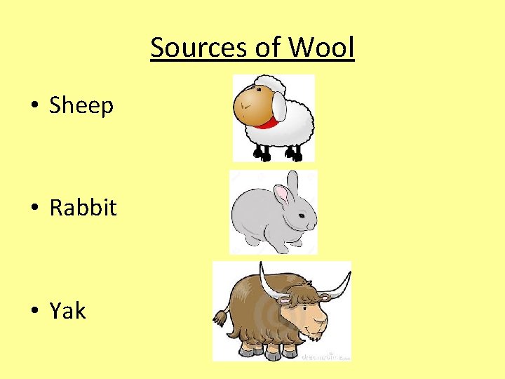 Sources of Wool • Sheep • Rabbit • Yak 