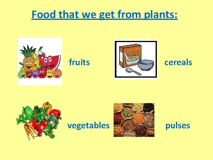 Food that we get from plants: fruits cereals vegetables pulses 