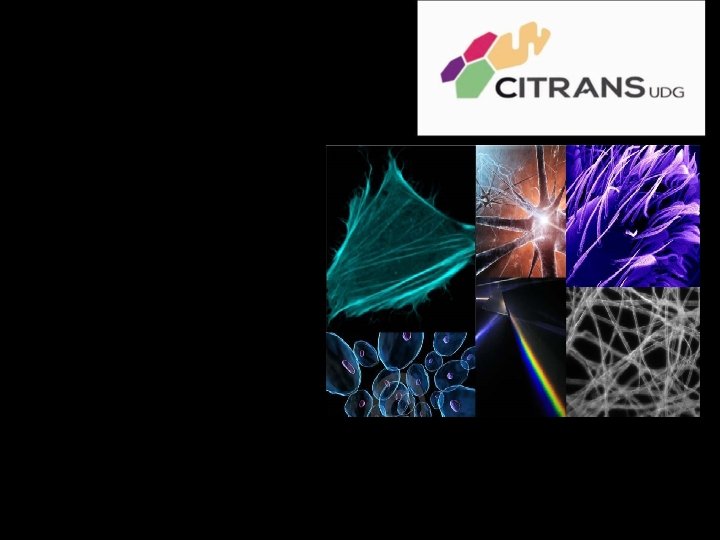 El CITRANS constará de 4 unidades: Microscopía Espectroscopía Biología Molecular y Proteómica Bioinformática 