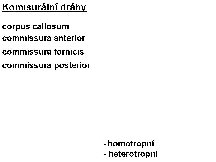 Komisurální dráhy corpus callosum commissura anterior commissura fornicis commissura posterior - homotropní - heterotropní