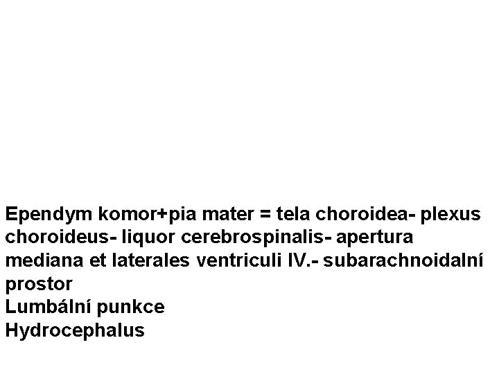 Ependym komor+pia mater = tela choroidea- plexus choroideus- liquor cerebrospinalis- apertura mediana et laterales