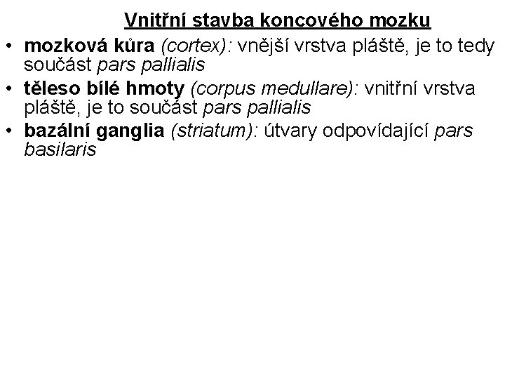 Vnitřní stavba koncového mozku • mozková kůra (cortex): vnější vrstva pláště, je to tedy