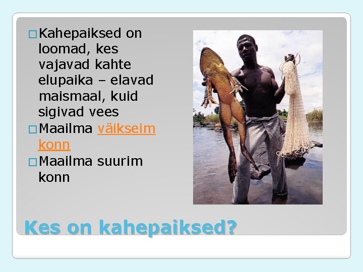 �Kahepaiksed on loomad, kes vajavad kahte elupaika – elavad maismaal, kuid sigivad vees �Maailma �Kahepaiksed on loomad, kes vajavad kahte elupaika – elavad maismaal, kuid sigivad vees �Maailma