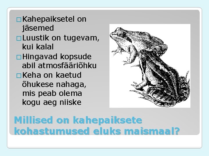 �Kahepaiksetel on jäsemed �Luustik on tugevam, kui kalal �Hingavad kopsude abil atmosfääriõhku �Keha on �Kahepaiksetel on jäsemed �Luustik on tugevam, kui kalal �Hingavad kopsude abil atmosfääriõhku �Keha on