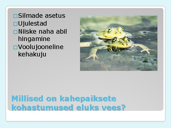 �Silmade asetus �Ujulestad �Niiske naha abil hingamine �Voolujooneline kehakuju Millised on kahepaiksete kohastumused eluks �Silmade asetus �Ujulestad �Niiske naha abil hingamine �Voolujooneline kehakuju Millised on kahepaiksete kohastumused eluks