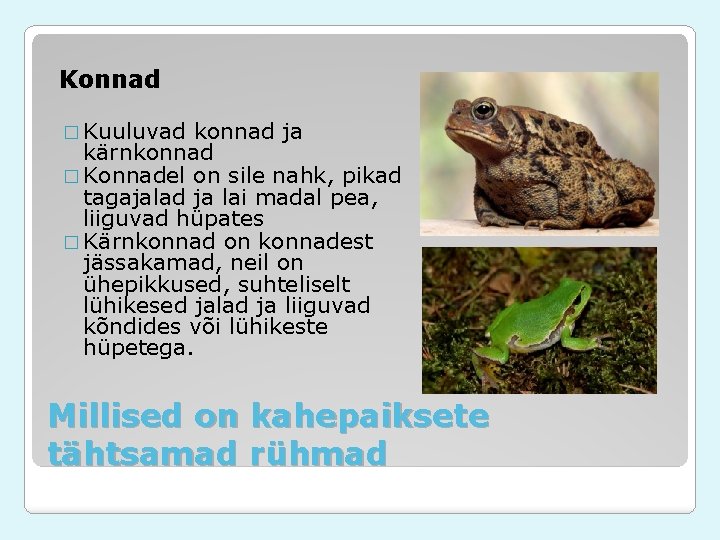 Konnad � Kuuluvad konnad ja kärnkonnad � Konnadel on sile nahk, pikad tagajalad ja Konnad � Kuuluvad konnad ja kärnkonnad � Konnadel on sile nahk, pikad tagajalad ja