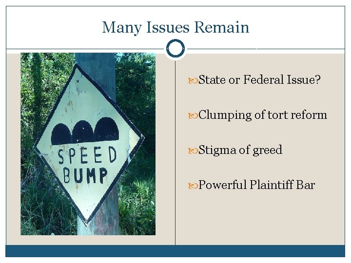 Many Issues Remain State or Federal Issue? Clumping of tort reform Stigma of greed