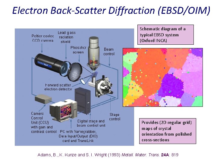 Electron Back-Scatter Diffraction (EBSD/OIM) Schematic diagram of a typical EBSD system (Oxford INCA) Provides Electron Back-Scatter Diffraction (EBSD/OIM) Schematic diagram of a typical EBSD system (Oxford INCA) Provides