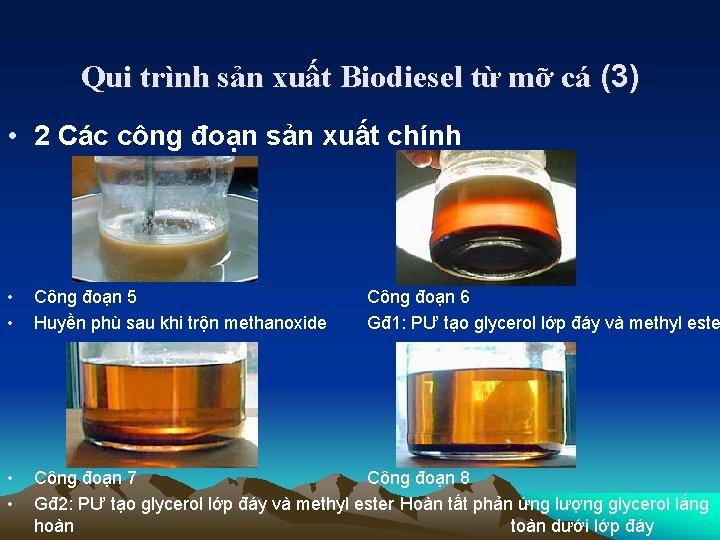 Qui trình sản xuất Biodiesel từ mỡ cá (3) • 2 Các công đoạn