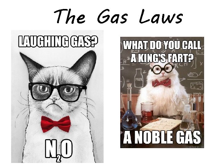 The Gas Laws 
