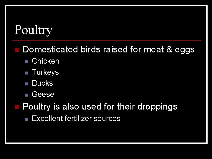 Poultry n Domesticated birds raised for meat & eggs n n n Chicken Turkeys
