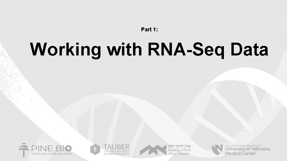 Part 1: Working with RNA-Seq Data 