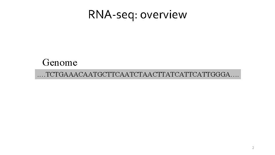 RNA-seq: overview Genome. …TCTGAAACAATGCTTCAATCTAACTTATCATTGGGA…. 2 