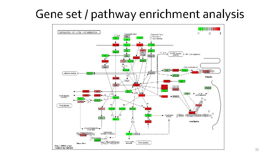 Gene set / pathway enrichment analysis 33 