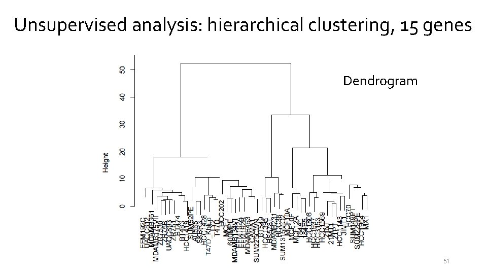 Unsupervised analysis: hierarchical clustering, 15 genes Dendrogram 51 