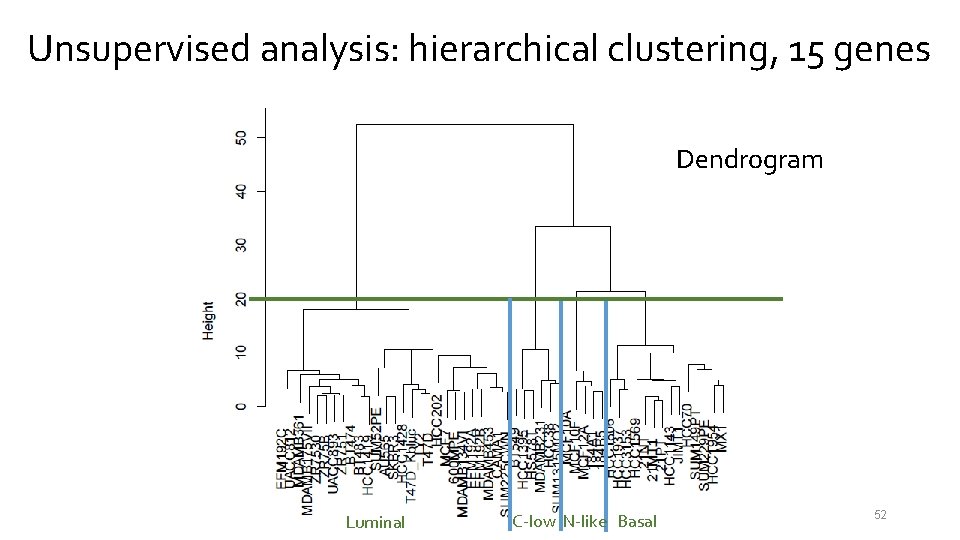 Unsupervised analysis: hierarchical clustering, 15 genes Dendrogram Luminal C-low N-like Basal 52 