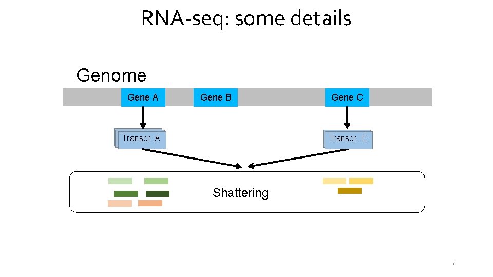 RNA-seq: some details Genome Gene A Gene B Transcr. A Gene C Transcr. C