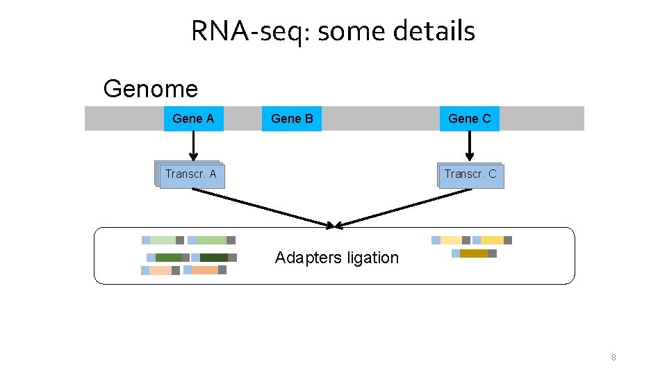 RNA-seq: some details Genome Gene A Gene B Transcr. A Gene C Transcr. C