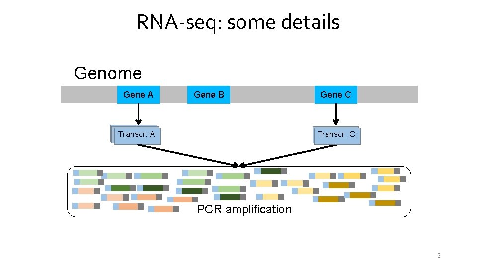 RNA-seq: some details Genome Gene A Gene B Transcr. A Gene C Transcr. C