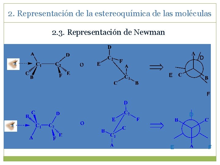 2. Representación de la estereoquímica de las moléculas 2. 3. Representación de Newman D