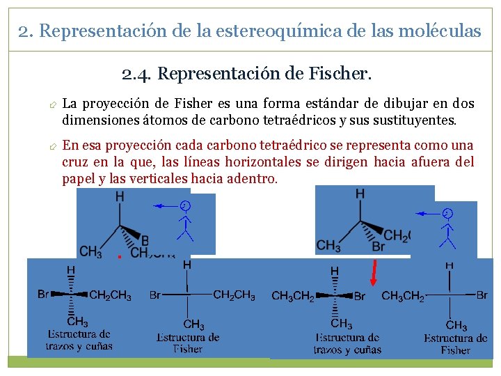 2. Representación de la estereoquímica de las moléculas 2. 4. Representación de Fischer. La