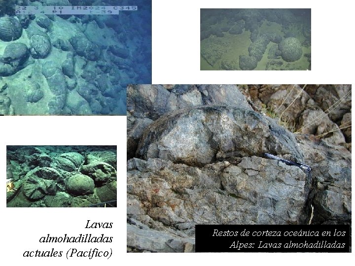 Lavas almohadilladas actuales (Pacífico) Restos de corteza oceánica en los Alpes: Lavas almohadilladas 