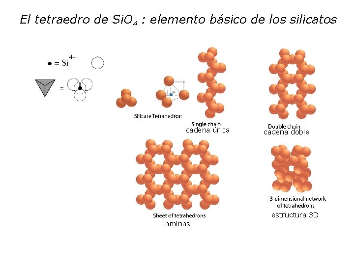 El tetraedro de Si. O 4 : elemento básico de los silicatos cadena única