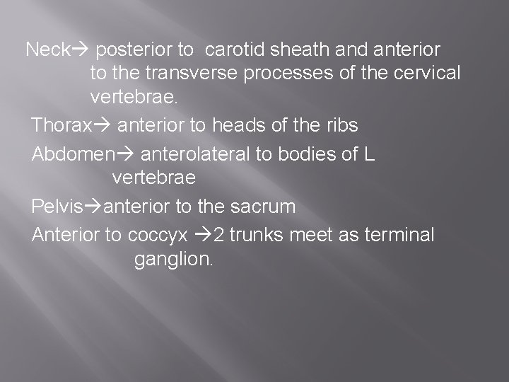 Neck posterior to carotid sheath and anterior to the transverse processes of the cervical