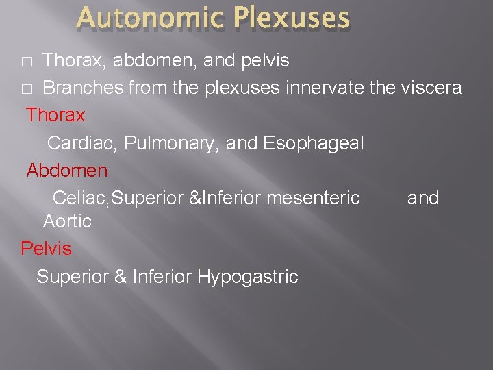 Autonomic Plexuses Thorax, abdomen, and pelvis � Branches from the plexuses innervate the viscera