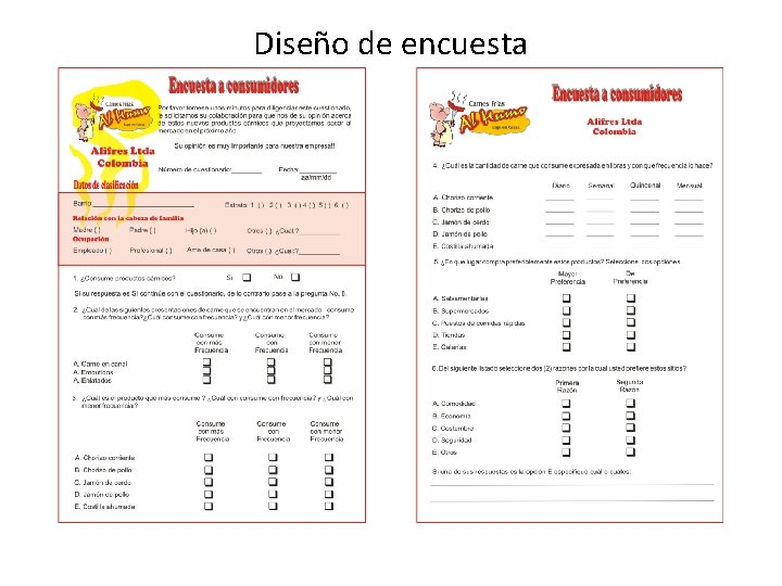 Diseño de encuesta Diseño de encuesta