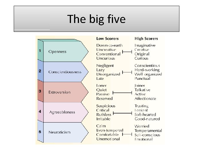 The big five 