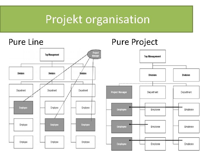 Projekt organisation Pure Line Pure Project 