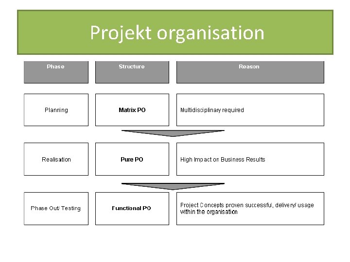 Projekt organisation 