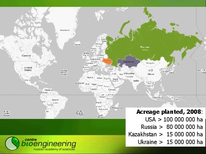 Acreage planted, 2008: USA > 100 000 ha Russia > 80 000 ha Kazakhstan