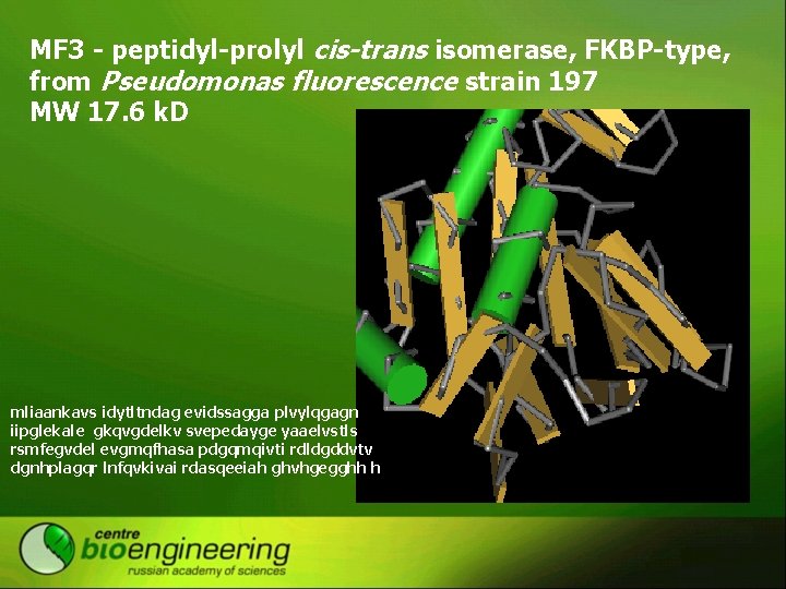 MF 3 - peptidyl-prolyl cis-trans isomerase, FKBP-type, from Pseudomonas fluorescence strain 197 MW 17.